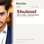 Shubool Name Meaning and Details