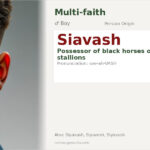 Siavash Name Meaning and Details