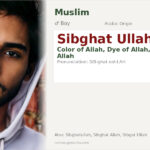Sibghat Ullah Name Meaning and Details
