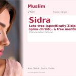 Sidra Name Meaning and Details