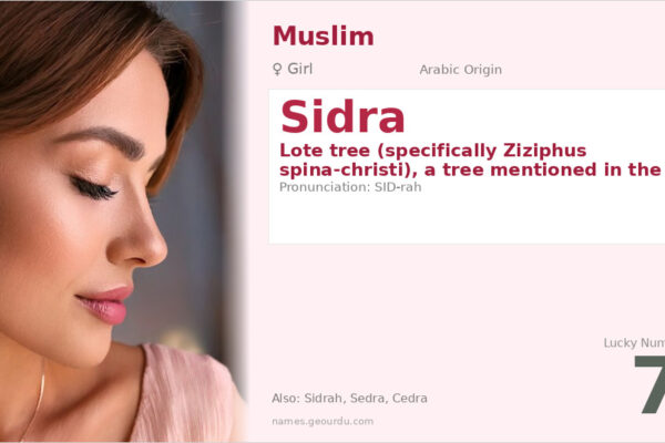 Sidra Name Meaning — Arabic Origin, Girl Name & Islamic Significance (2025)