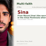Sina Name Meaning and Details