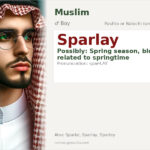Sparlay Name Meaning and Details