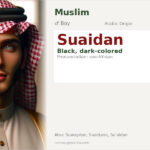 Suaidan Name Meaning and Details
