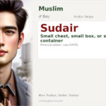 Sudair Name Meaning and Details
