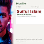 Suiful Islam Name Meaning and Details