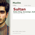 Sultan Name Meaning and Details