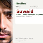 Suwaid Name Meaning and Details