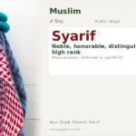 Syarif Name Meaning and Details