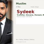 Sydeek Name Meaning and Details