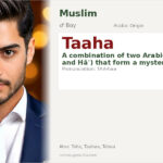 Taaha Name Meaning and Details