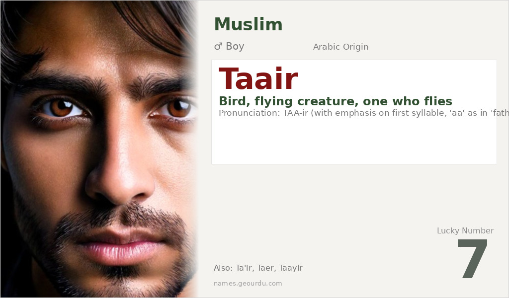 Taair Name Meaning and Details
