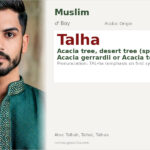 Talha Name Meaning and Details