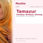 Tamazur Name Meaning and Details