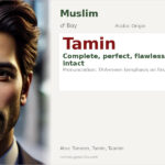 Tamin Name Meaning and Details