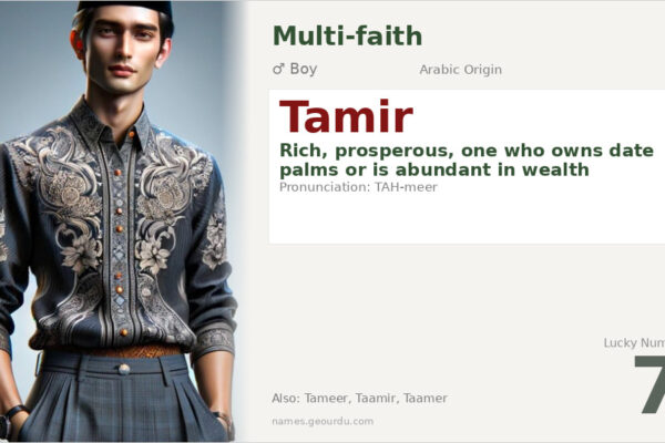 Tamir Name Meaning — Arabic Origin, Boy Name & Details (2025)