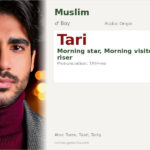 Tari Name Meaning and Details