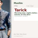 Tarick Name Meaning and Details