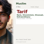 Tarif Name Meaning and Details