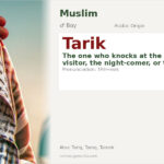 Tarik Name Meaning and Details