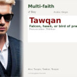 Tawqan Name Meaning and Details