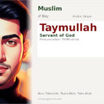 Taymullah Name Meaning and Details