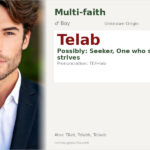 Telab Name Meaning and Details