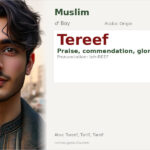 Tereef Name Meaning and Details