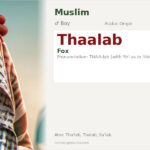 Thaalab Name Meaning and Details