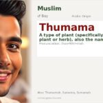 Thumama Name Meaning and Details