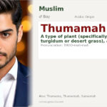 Thumamah Name Meaning and Details