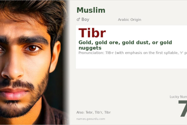 Tibr Name Meaning — Arabic Origin, Boy’s Name & Details (2025)