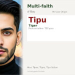 Tipu Name Meaning and Details