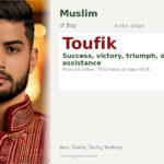 Toufik Name Meaning and Details