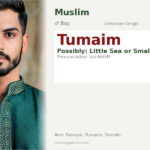 Tumaim Name Meaning and Details