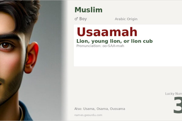 Usaamah Name Meaning — Arabic Origin, Lion Symbolism & Details (2025)