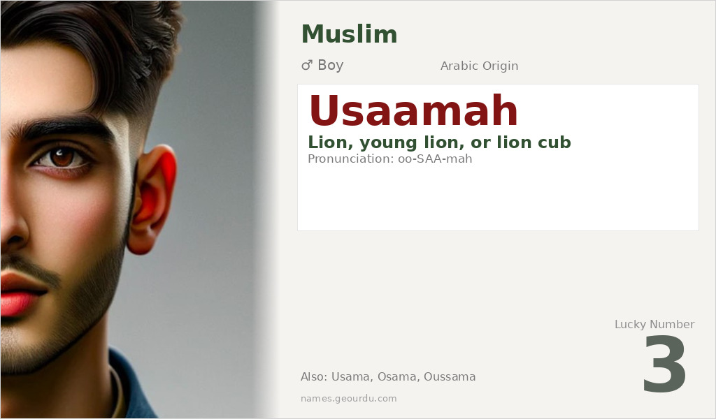 Usaamah Name Meaning and Details