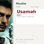 Usamah Name Meaning and Details