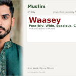 Waasey Name Meaning and Details