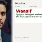 Waasif Name Meaning and Details