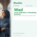 Wad Name Meaning and Details