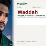 Waddah Name Meaning and Details