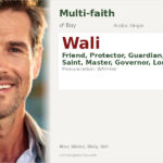 Wali Name Meaning and Details