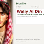 Waliy Al Din Name Meaning and Details