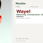 Wayel Name Meaning and Details