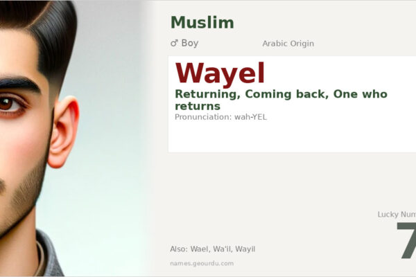 Wayel Name Meaning — Arabic Origin, Boy Name & Details (2025)