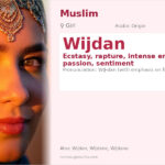 Wijdan Name Meaning and Details