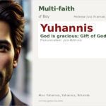 Yuhannis Name Meaning and Details