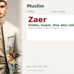 Zaer Name Meaning and Details