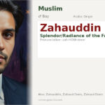 Zahauddin Name Meaning and Details